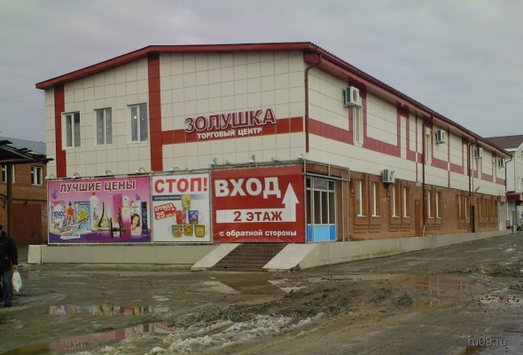 normal_zolyshka.jpg
